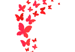 РАЗМЫШЛЯЕМ... ДЕЙСТВУЕМ... ТВОРИМ...