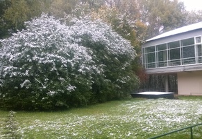 Зима пришла?